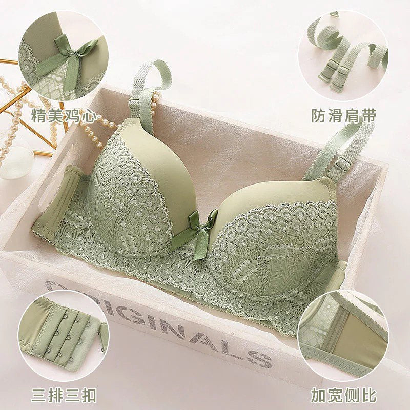 Lace Pushup Bra - Basic Lingerie