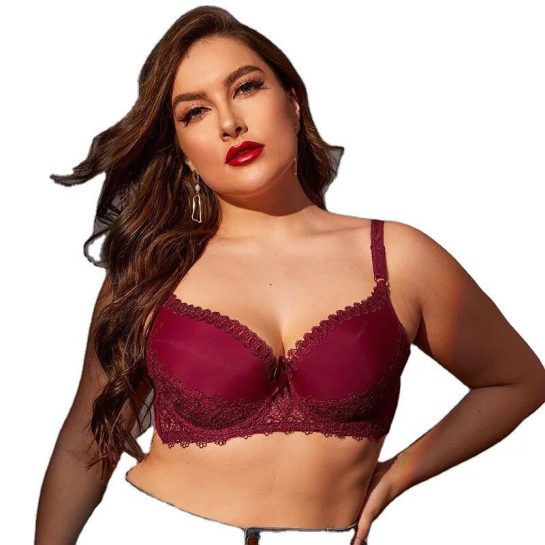 Hot Padded Underwired Pushup Bra | Bra for women