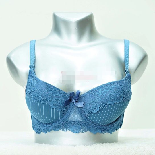 Vertical Lace Pushup Bra