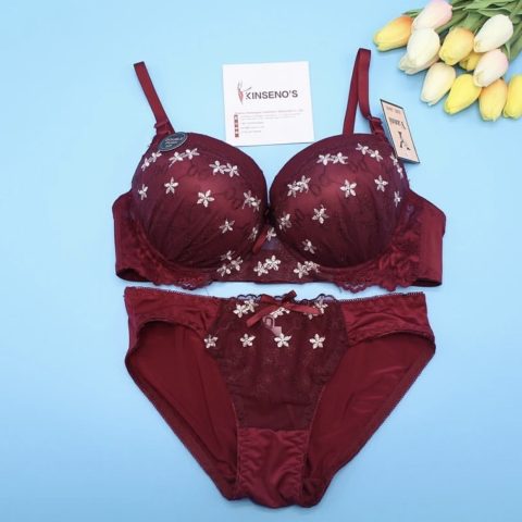 Fancy Pushup Bra and Panty Set - Stylish and confidence-enhancing lingerie set.