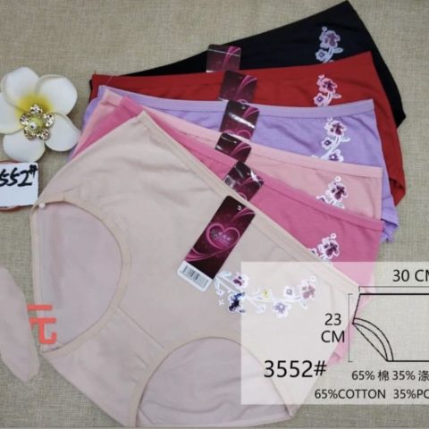 Low Waist Briefs Daily Wear Panty Underwear