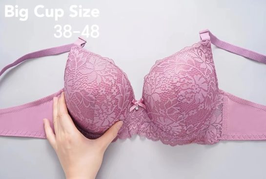 Pushup Bra Padded C Cup Wired